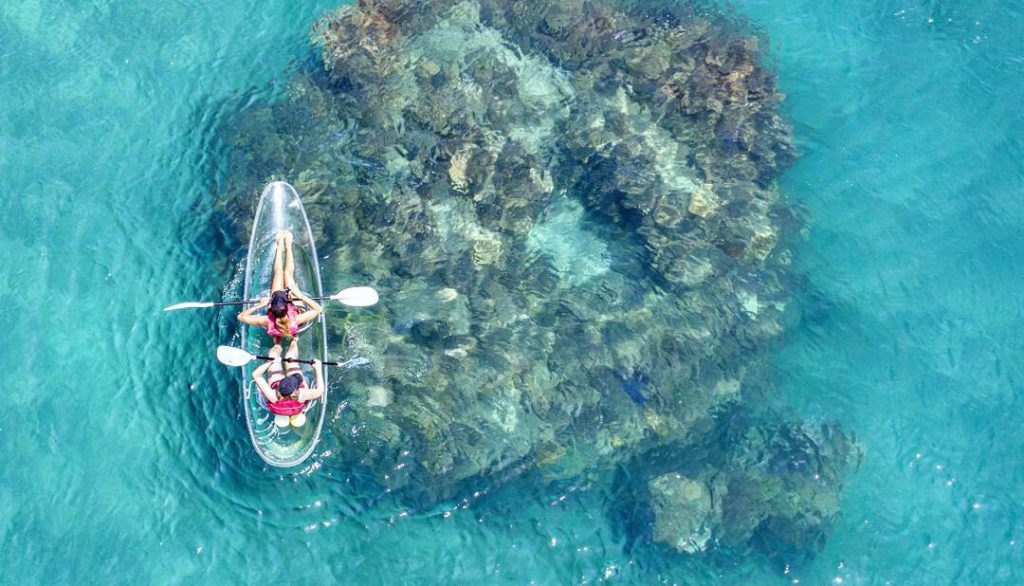 Frankland Island Cruises listing