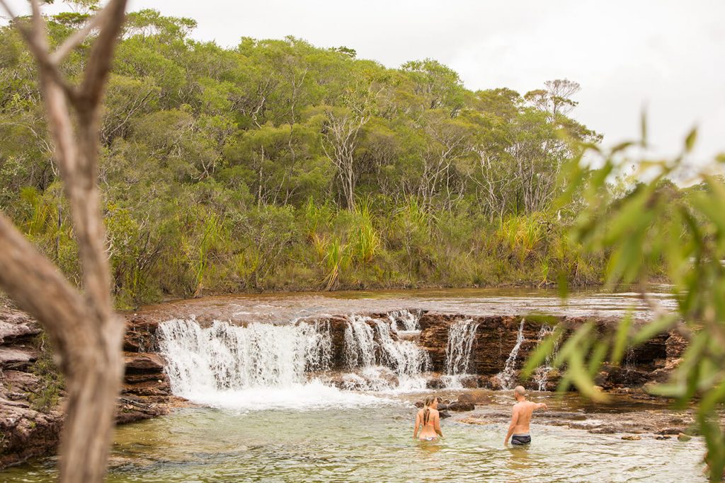 Fruit Bat Falls Cape York