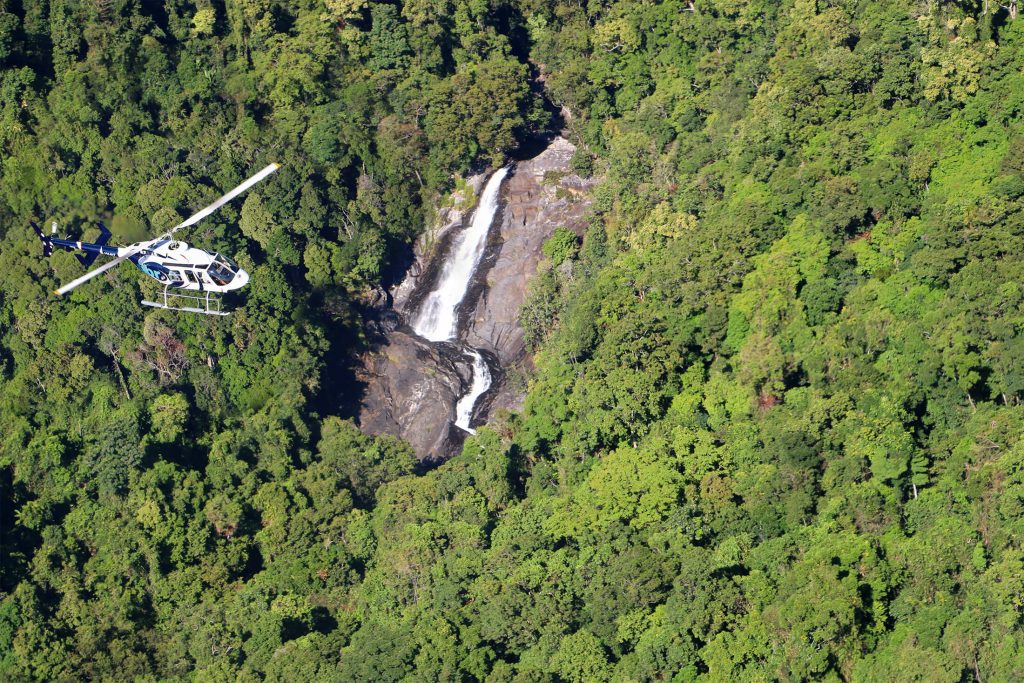 GBR Helicopters Rainforest Scenic Flight