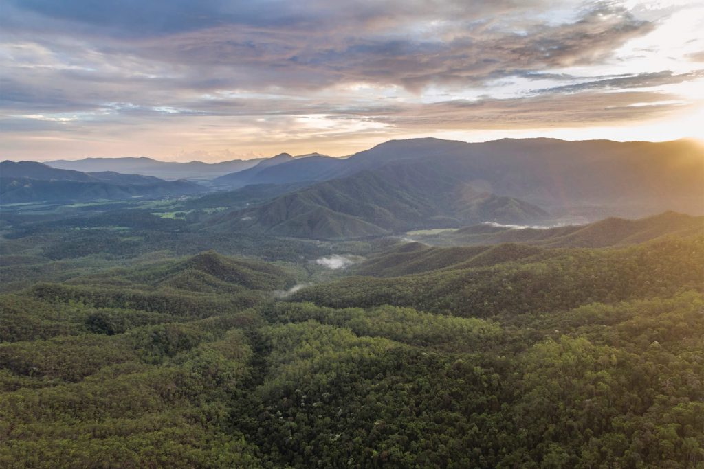 View from the Gillies Range