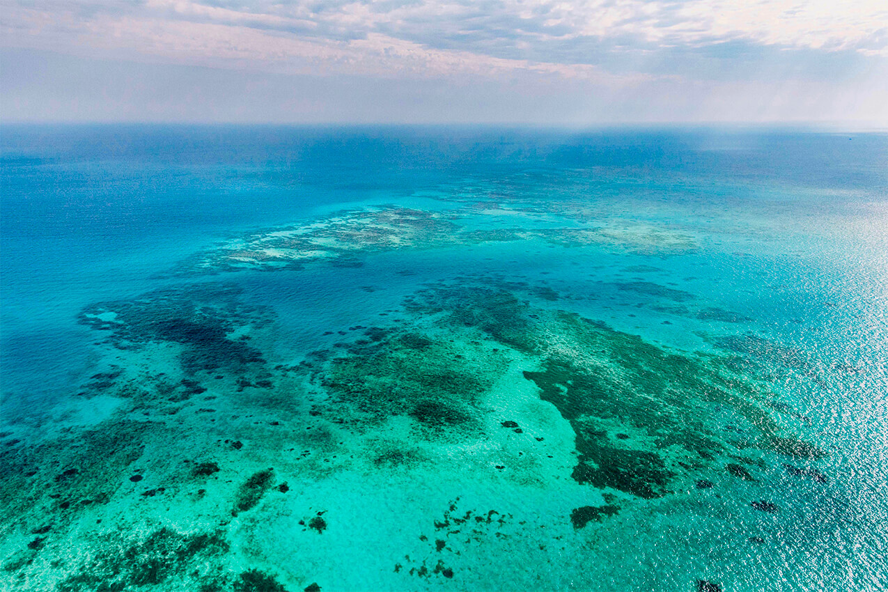 Great Barrier Reef aerial Feel Grounded