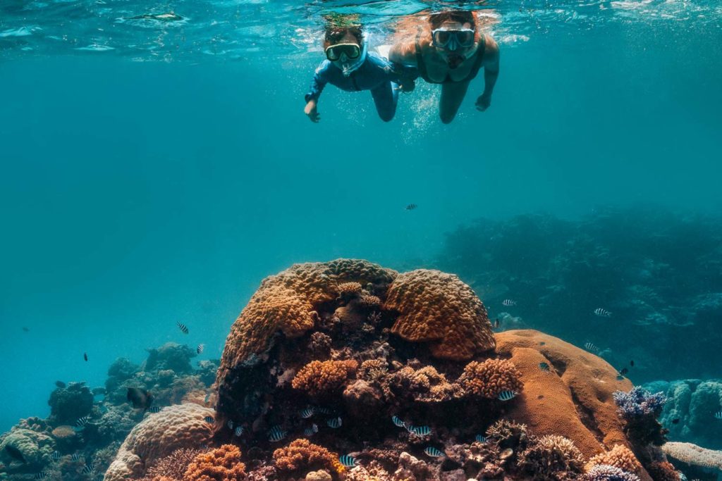 great barrier reef with family