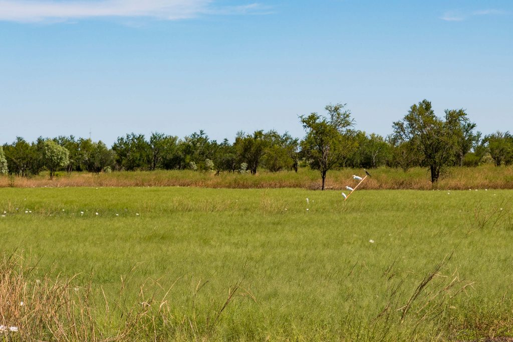 Mutton Hole Wetlands Normanton Birdwatching