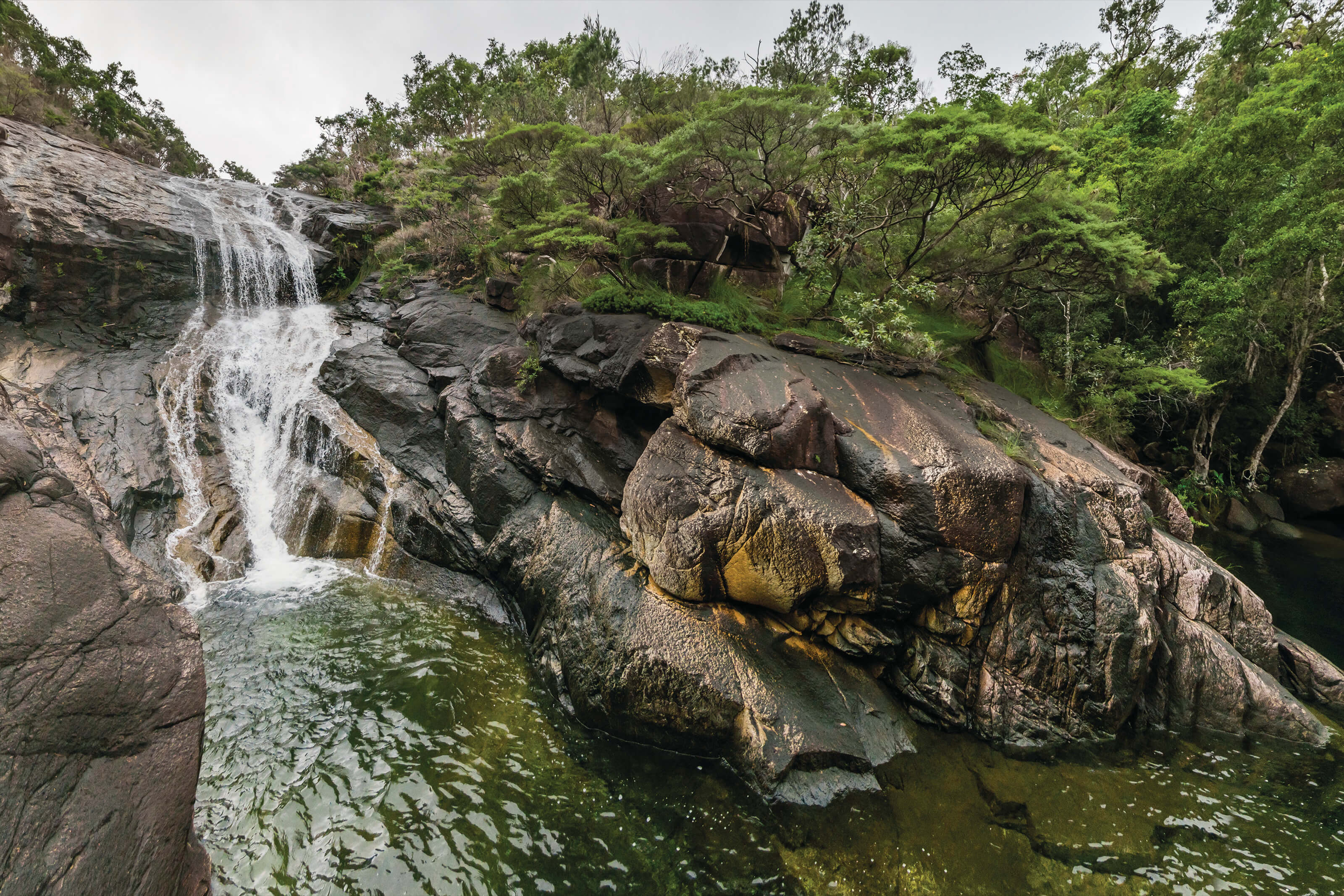 Hinchinbrook Island National Park Tropical North QLD