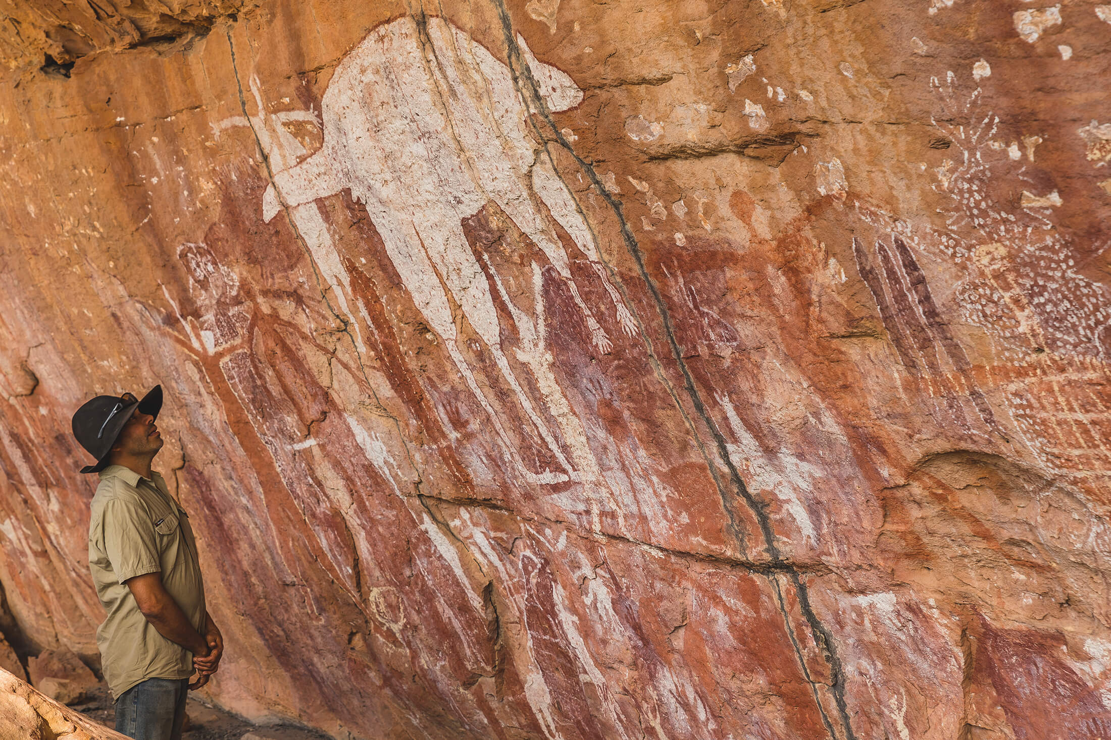 Magnificent Gallery Jarramali Rock Art Tours
