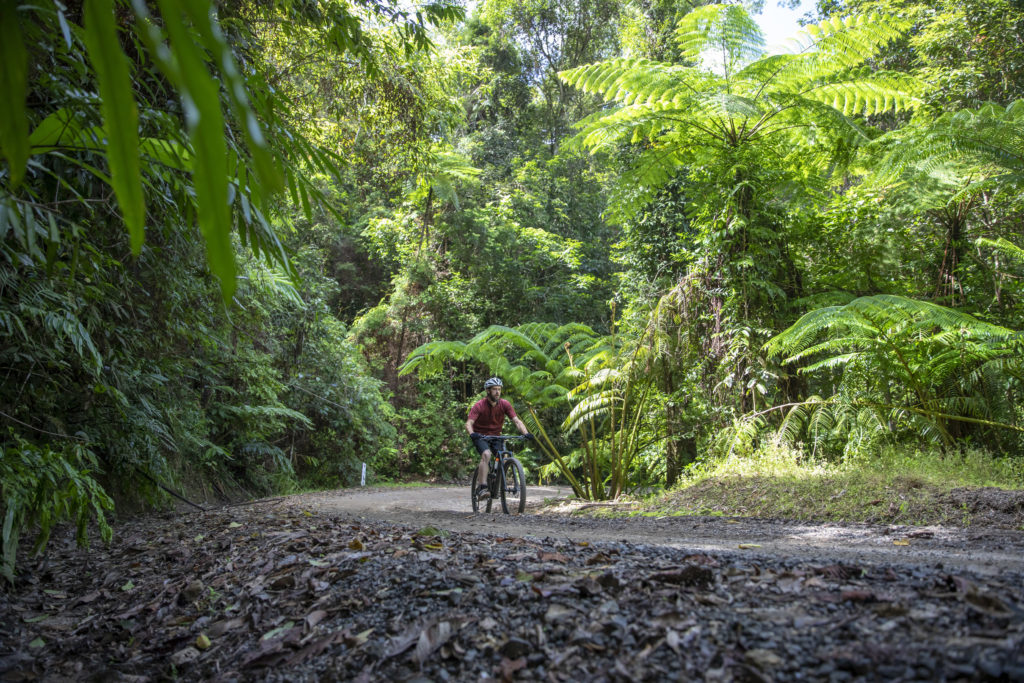 K tree misty mountain bike