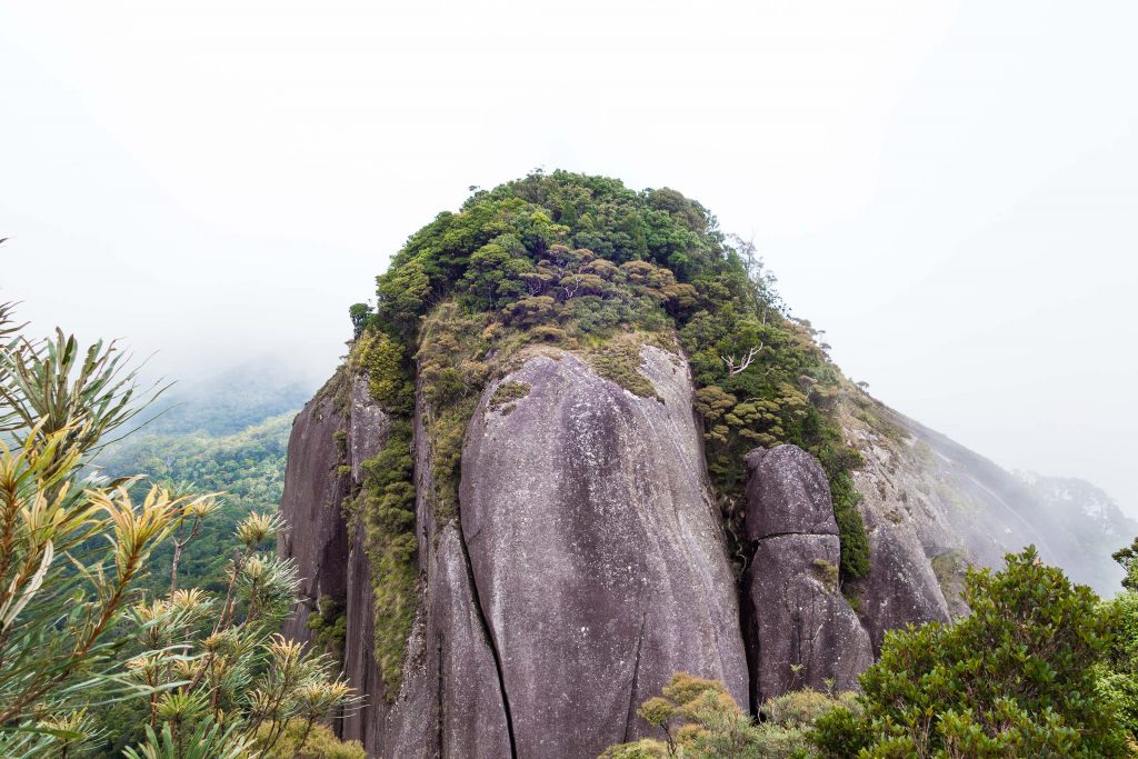 Kahlpahlim Rock (Lambs Head)