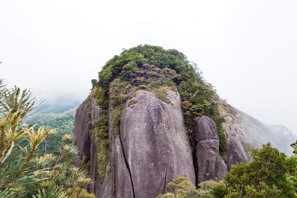 Lambs Head (Kahlpahlim Rock)