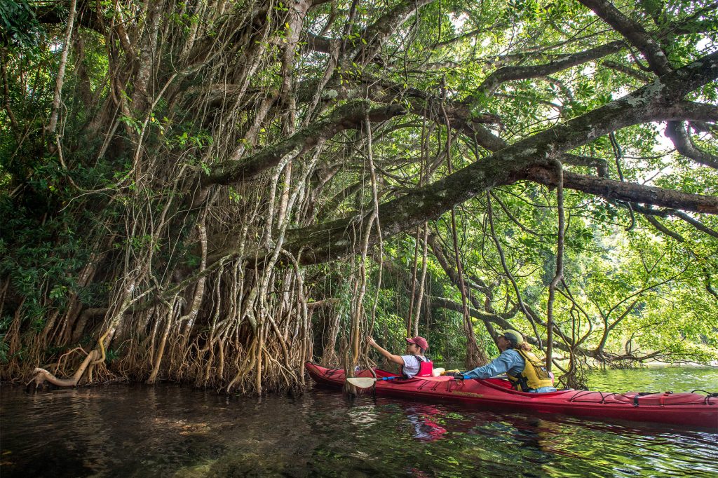 Kaying Lake Barrine