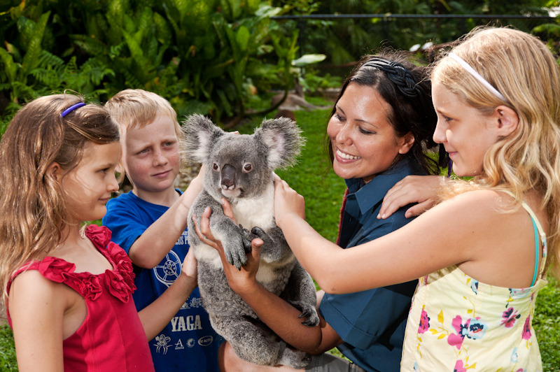 Kuranda Koala Gardens