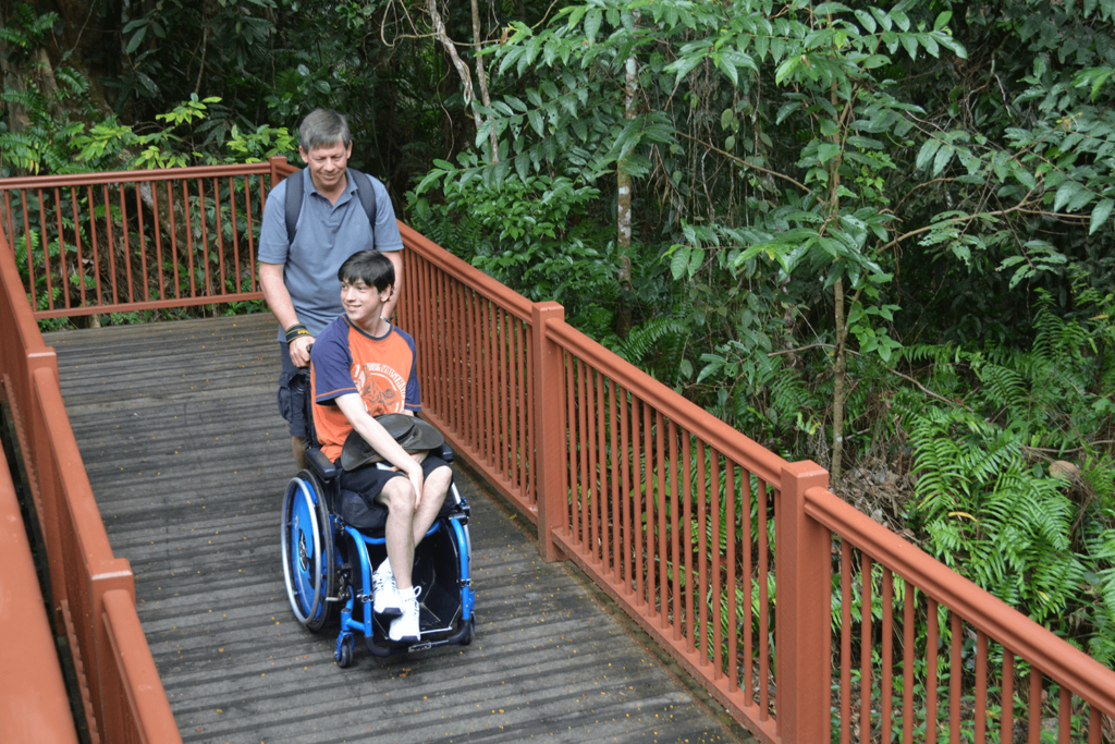 accessible travel in cairns and palm cove skyrail rainforest cableway