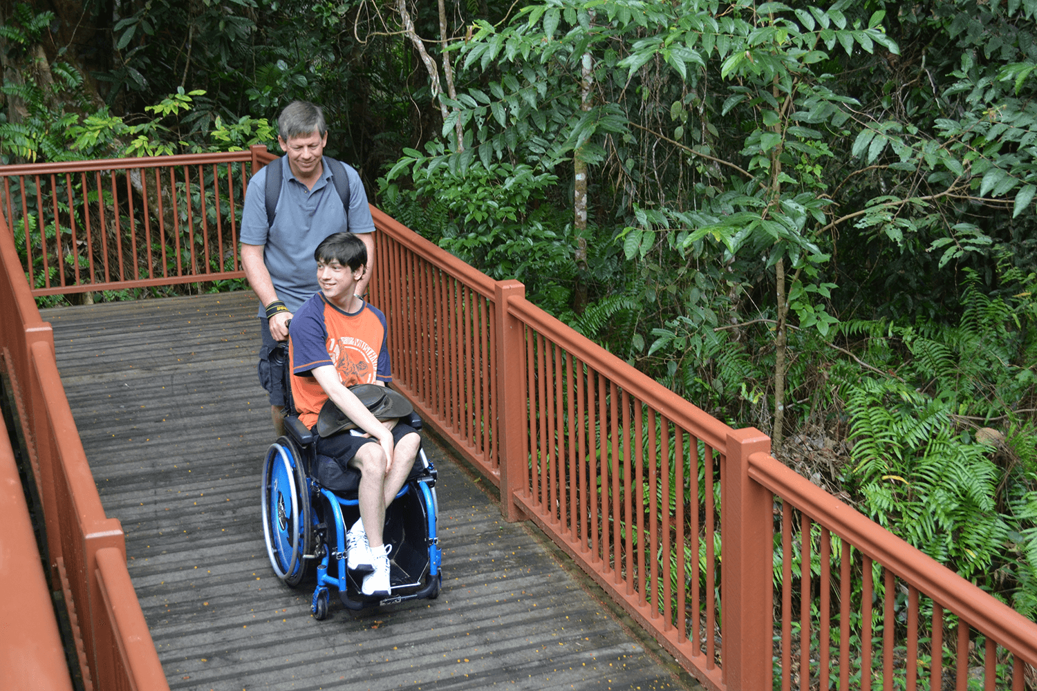 accessible travel in cairns and palm cove skyrail rainforest cableway
