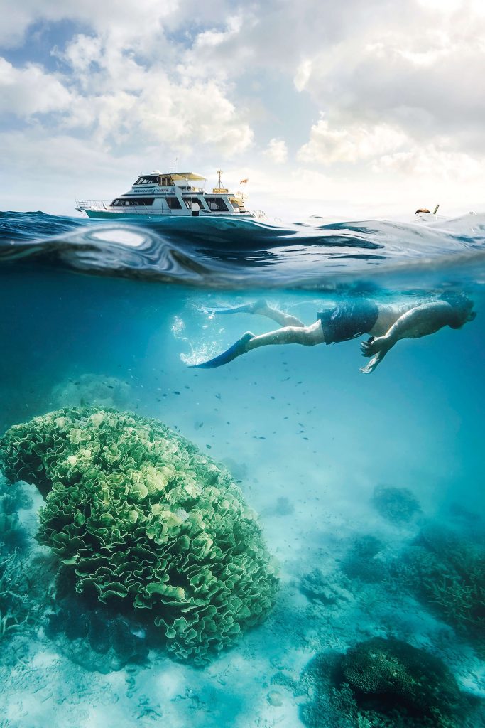 snorkelling with mission beach dive