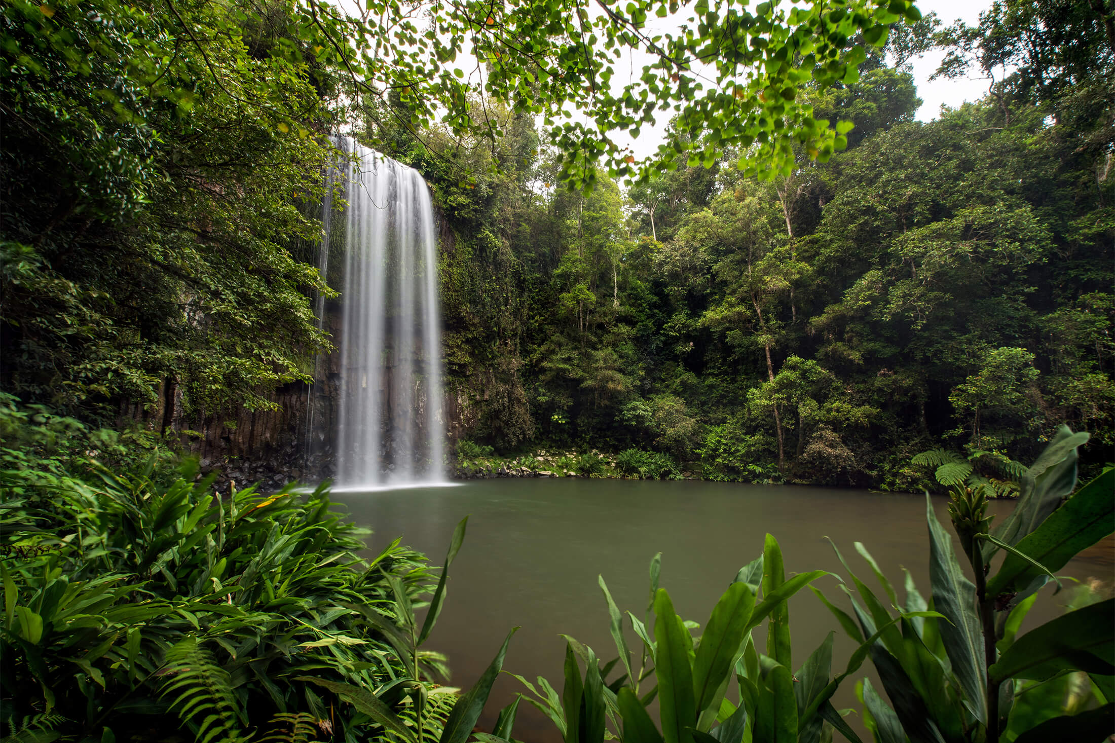 Millaa Millaa Falls Atherton Tablelands