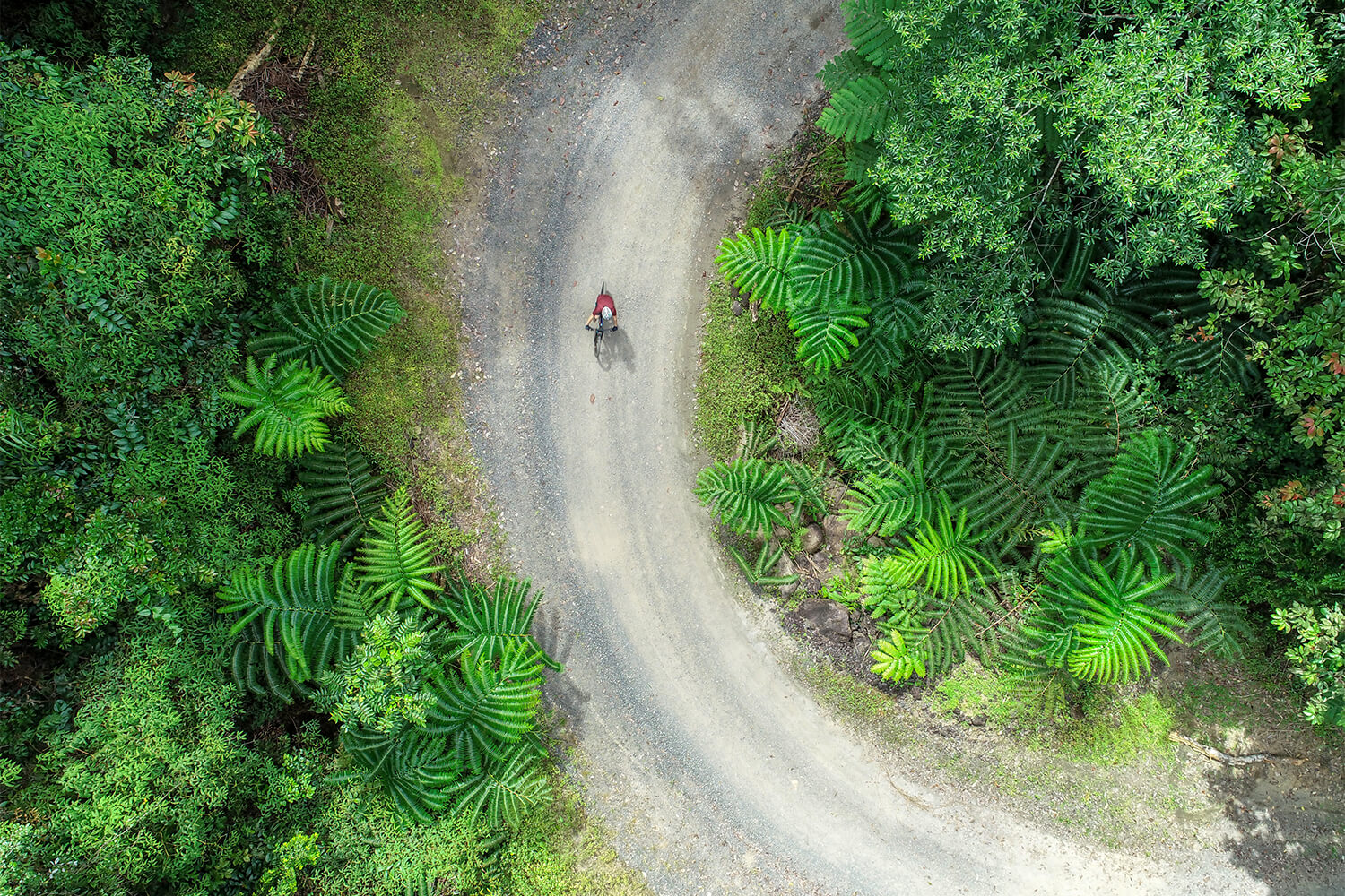 Misty Mountain Trails