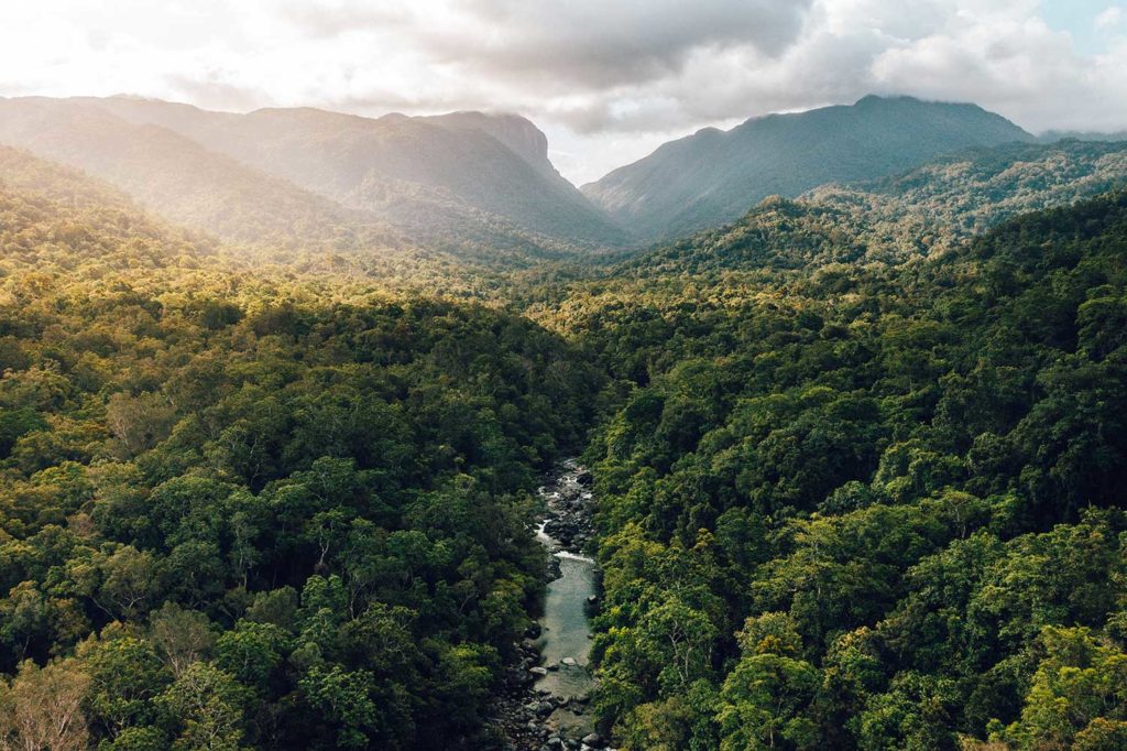 mossman gorge aerial