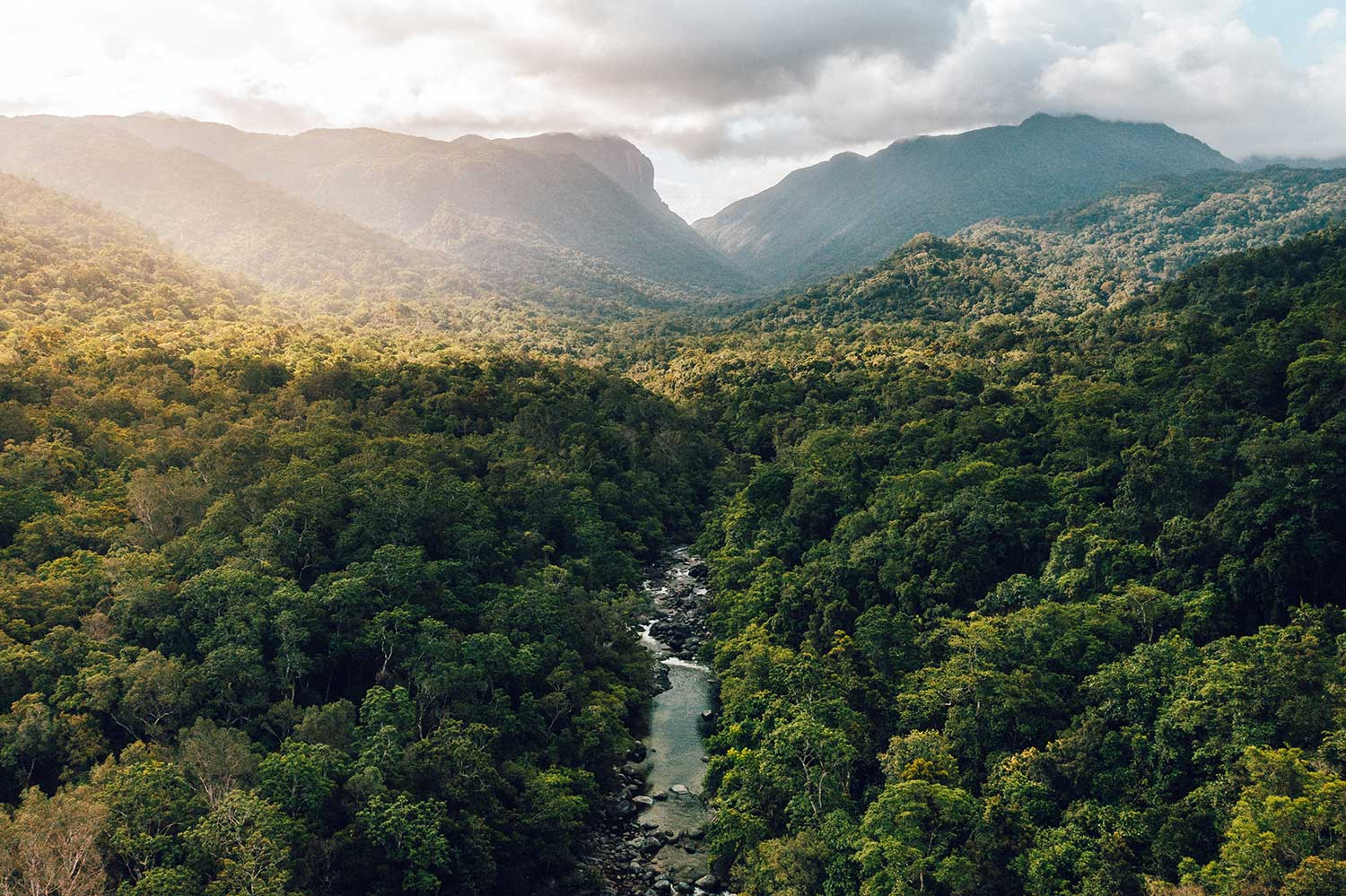 mossman gorge aerial