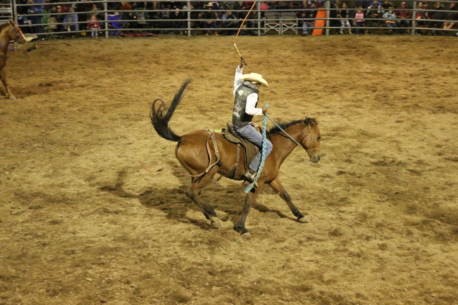 Mt Carbine Bull & Bronc Ride 2018