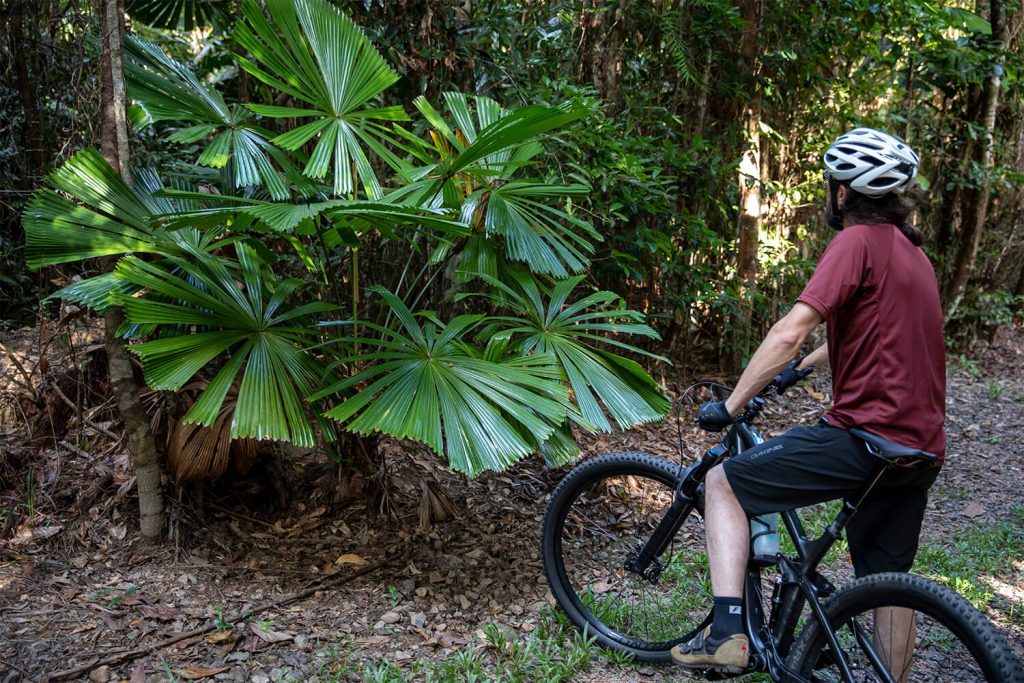 Musgravea Trail