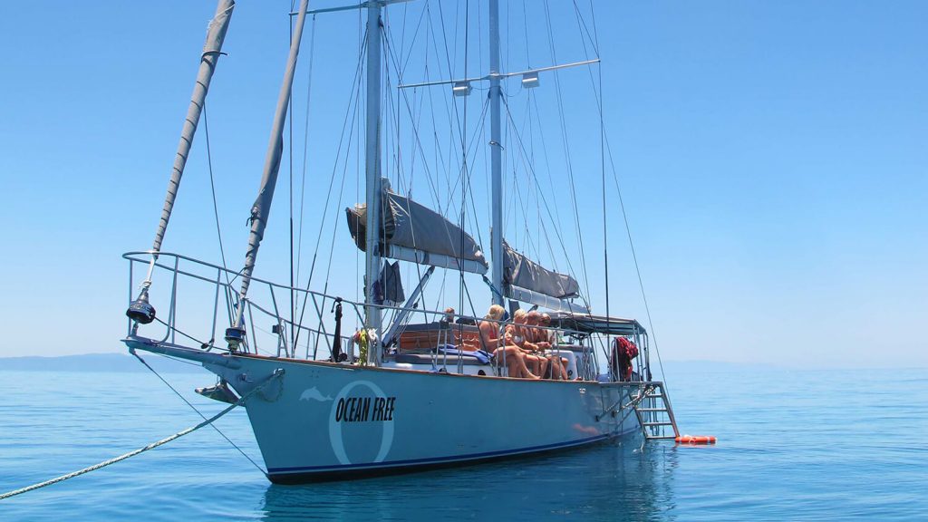 Ocean Free sail boat
