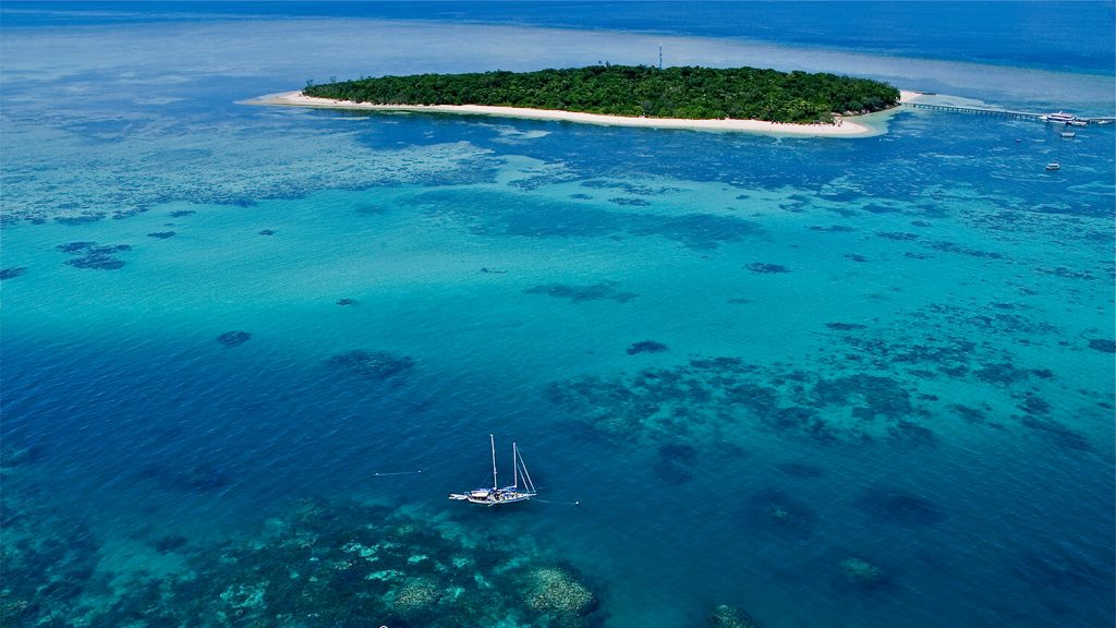 Ocean Free at Green Island