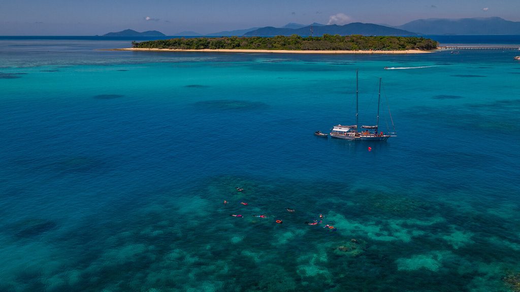 Ocean Free Pinnacle Reef Green Island
