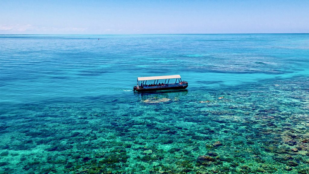 Ocean Freedom : Glass Bottom Boat Tour