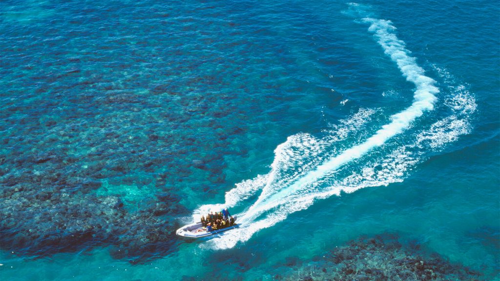 Ocean Freedom Adventure Drift Snorkel Tour