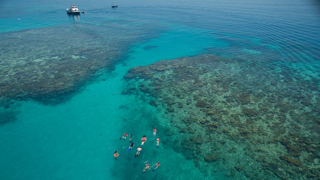 Ocean Freedom : Guided snorkel tour