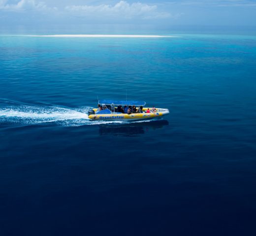 Ocean Safari Cape tribulation