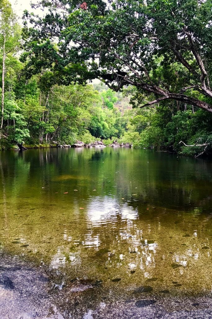 Murray Falls Swimming Hole Cardwell