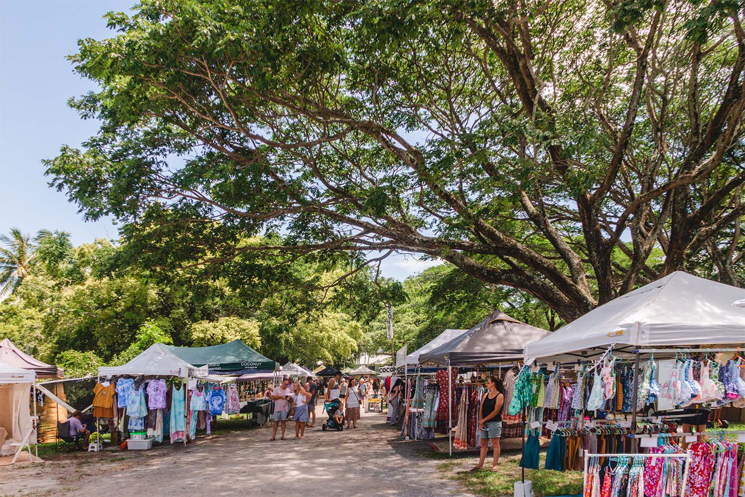 Port Douglas Markets July Cairns Great Barrier Reef Port Douglas Markets July Cairns Great Barrier Reef