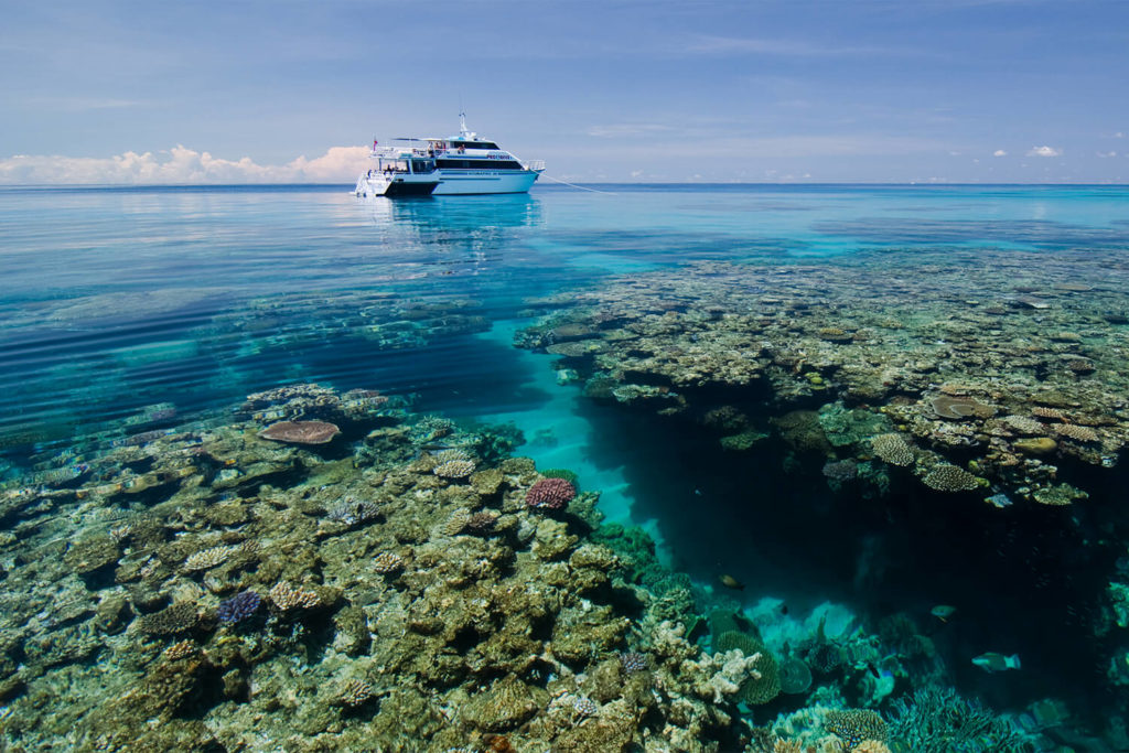 Pro dive liveaboard boat