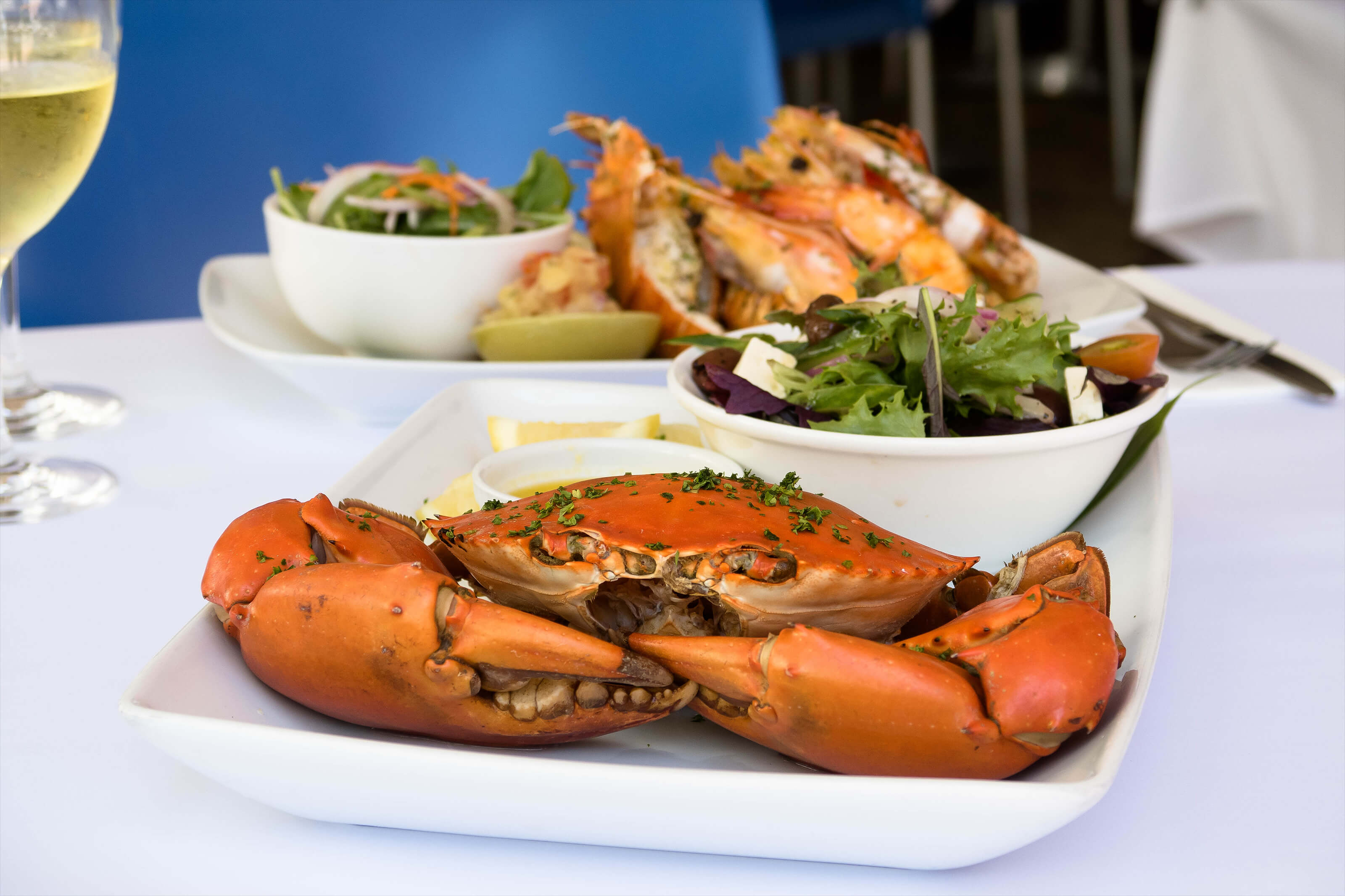 Raw Prawn Mud Crab