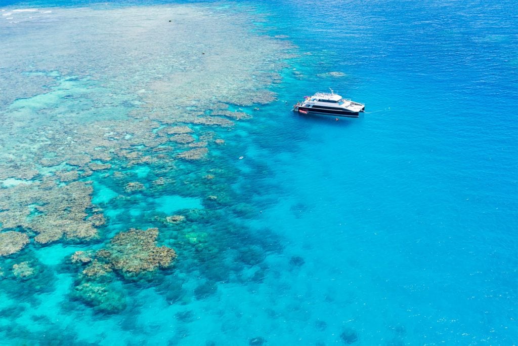 Reef Magic Dreamtime Dive and Snorkel