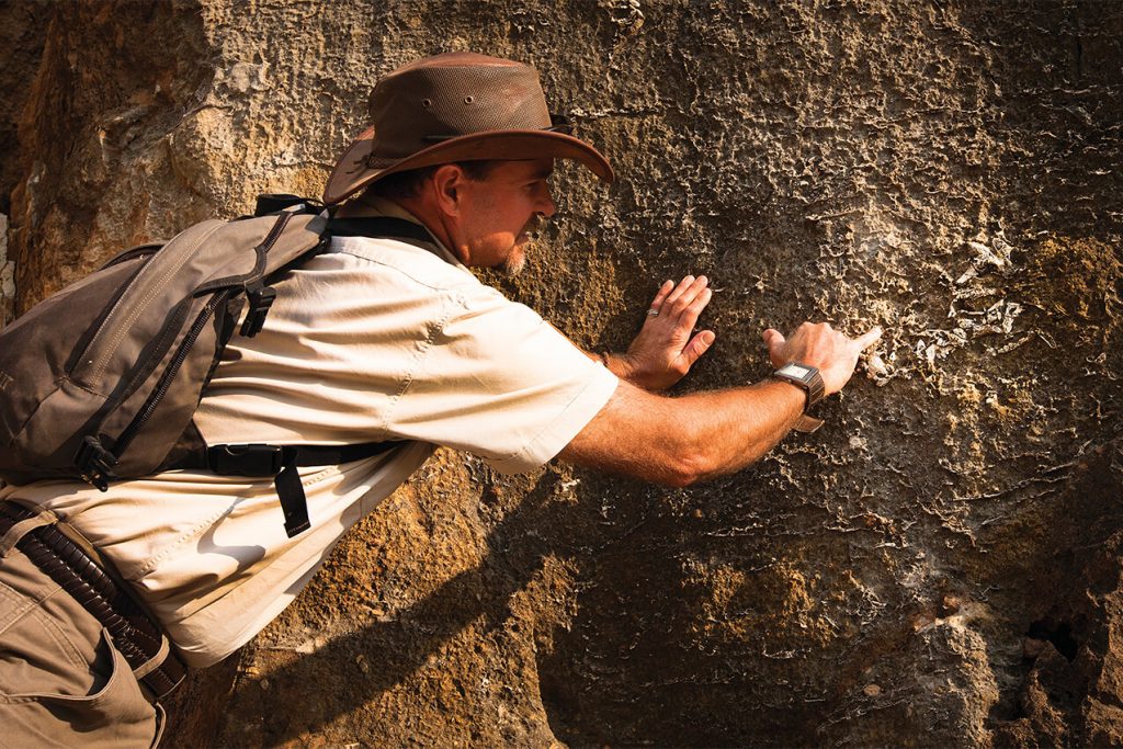 Riversleigh Fossil Fields