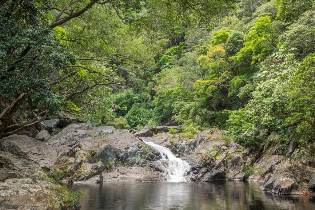 Rock Pools along Spring Creek Port Douglas