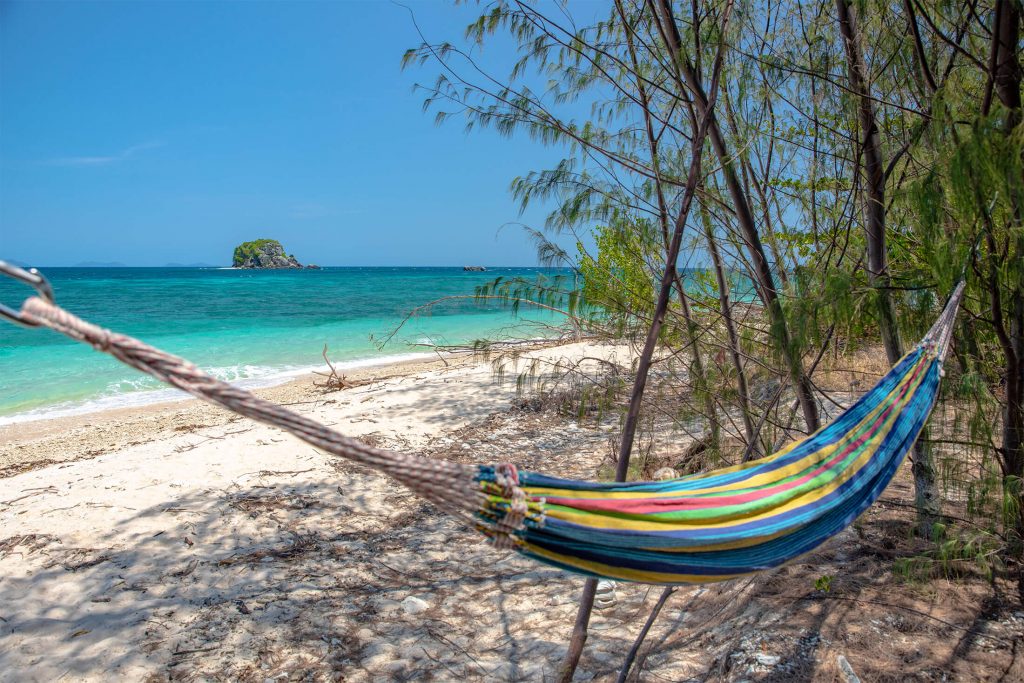 Russell Island hammock, Frankland Islands