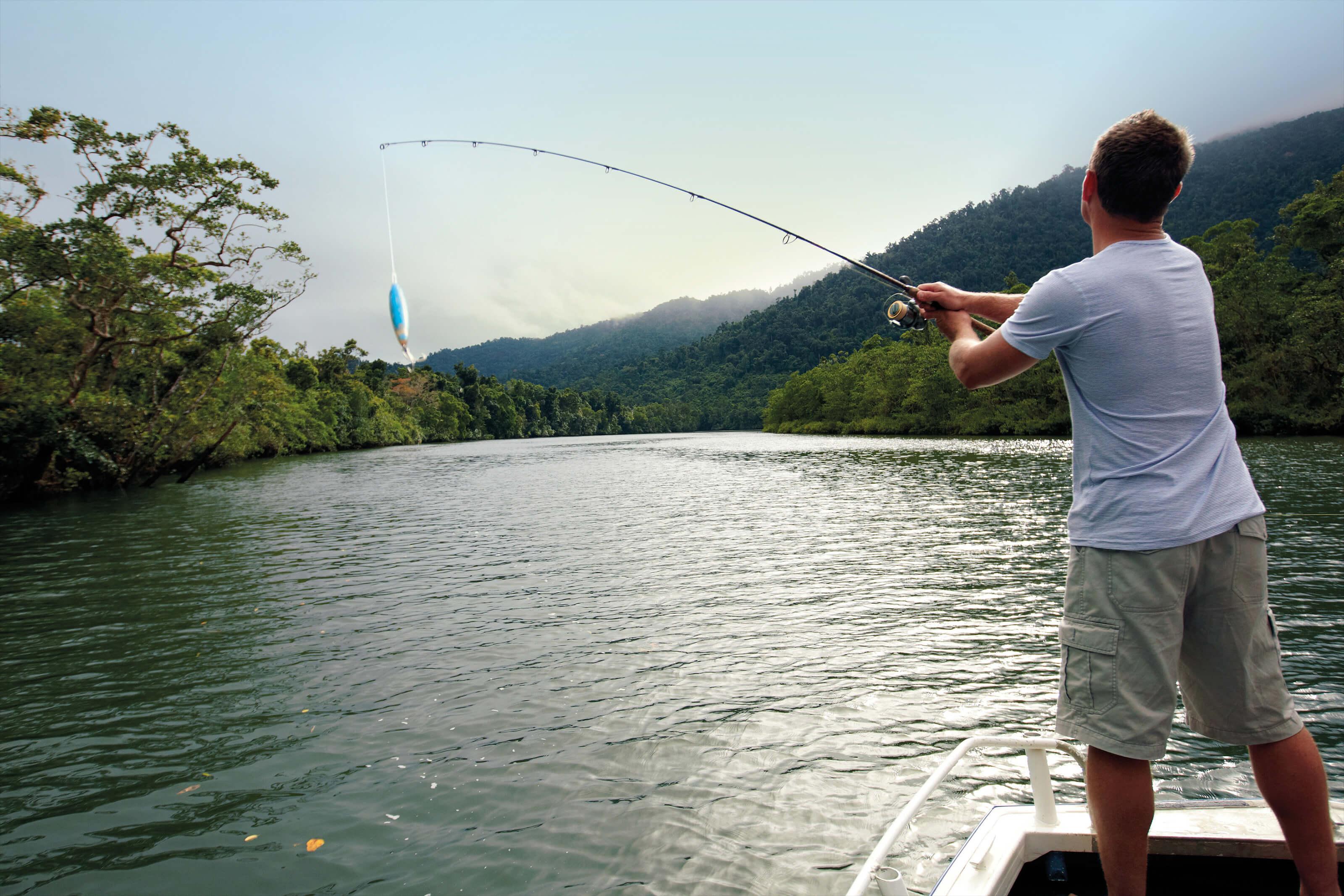 Russell River National Park Tropical North QLD