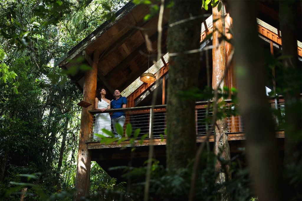 canopy treehouses
