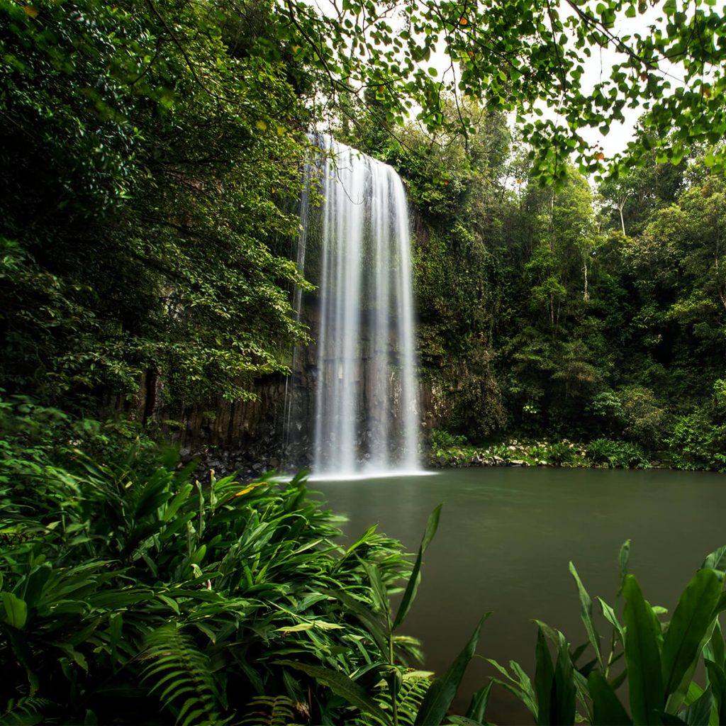 Freshwater Swimming Tropical North QLD