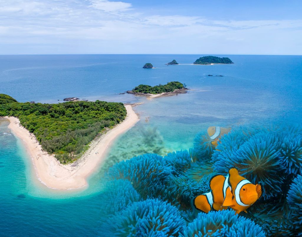 Frankland Islands Reef Cruises