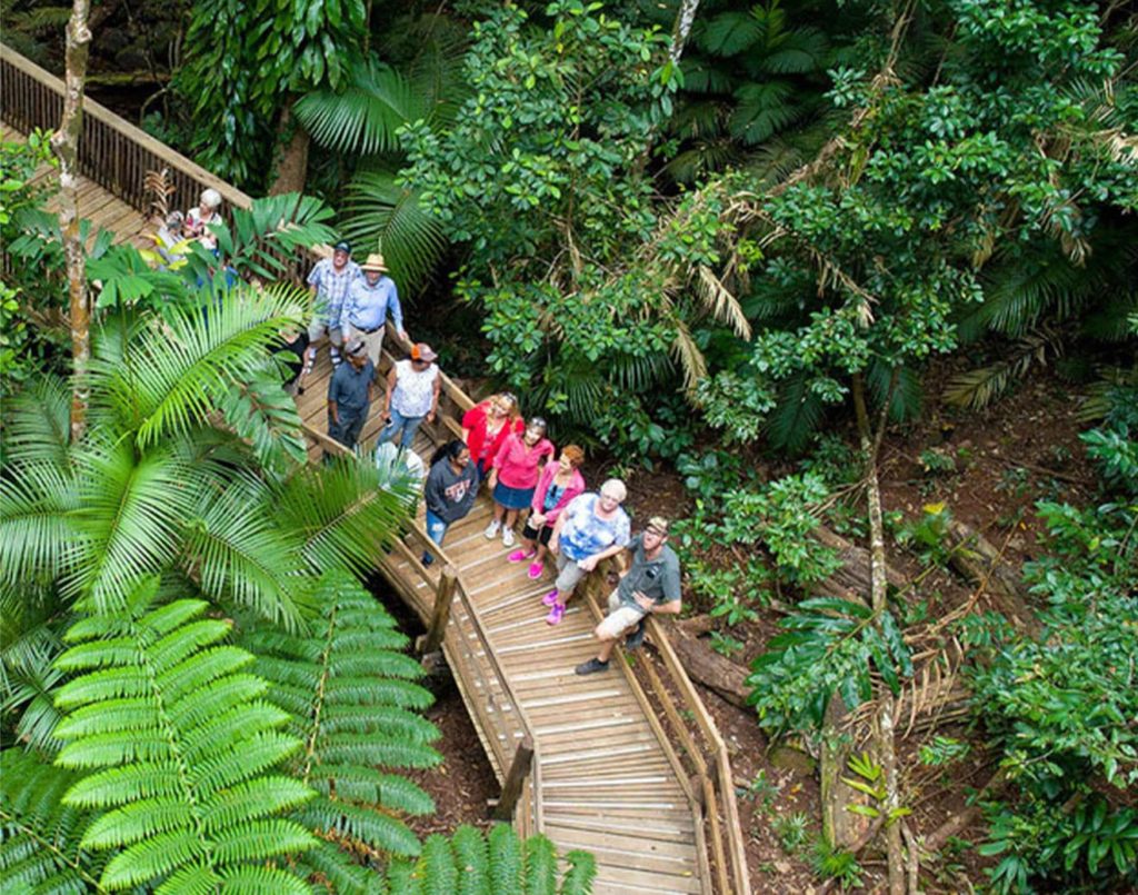 2 day premium Reef and Rainforest tour
