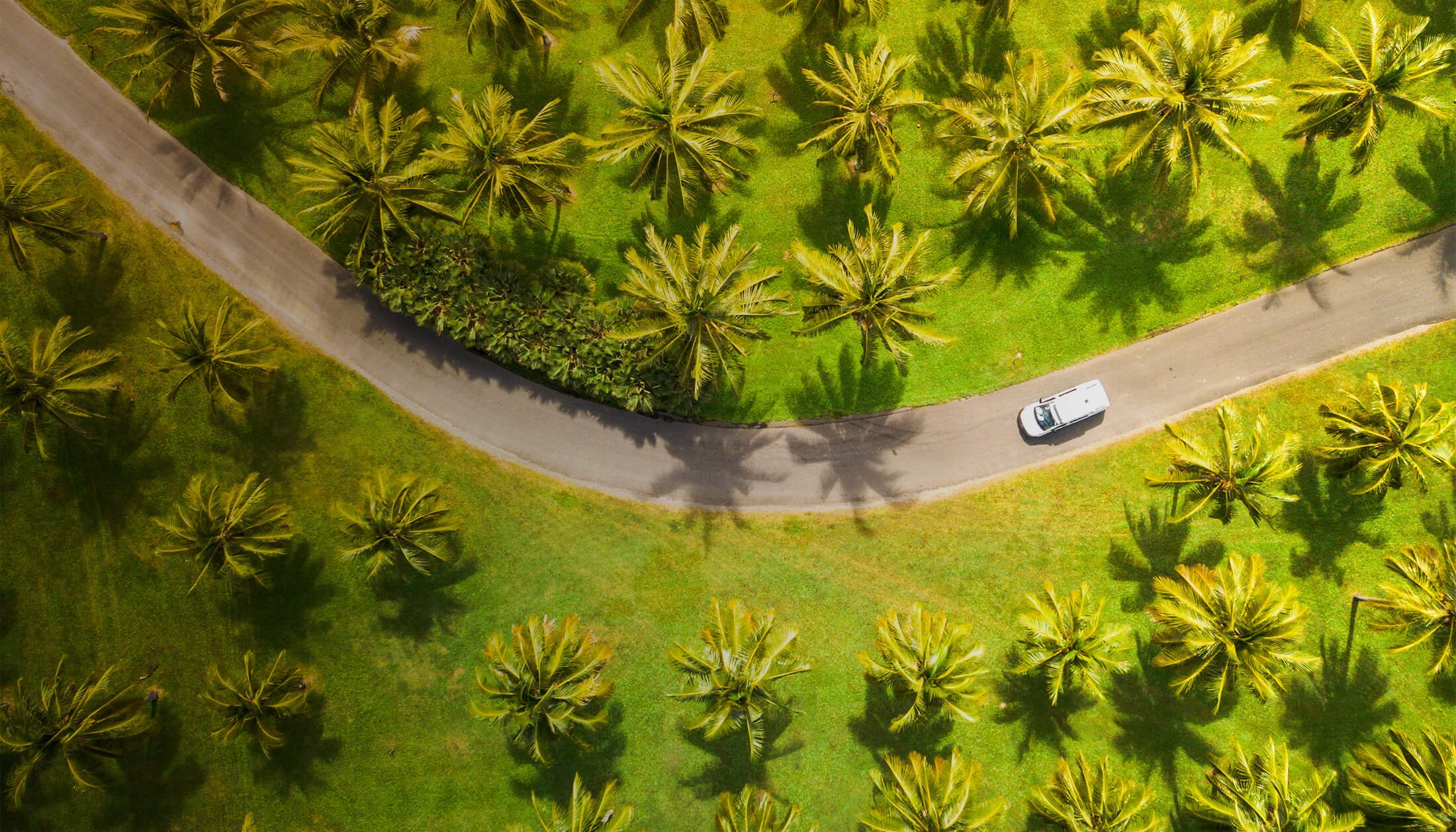Thala Beach Nature Reserve aerial