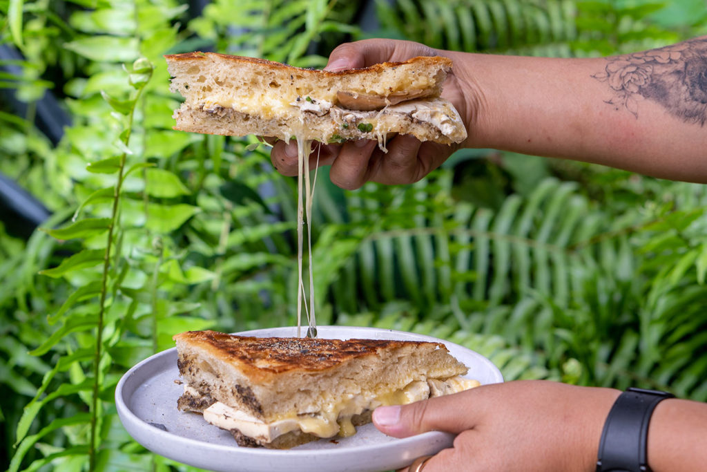 truffle tofu toastie veggie vegan guyala