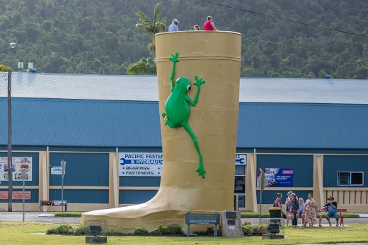 Golden Gumboot in Tully