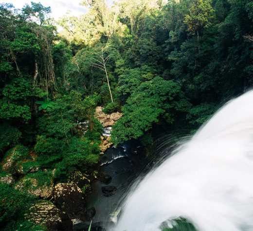 Zillie Falls Atherton Tablelands