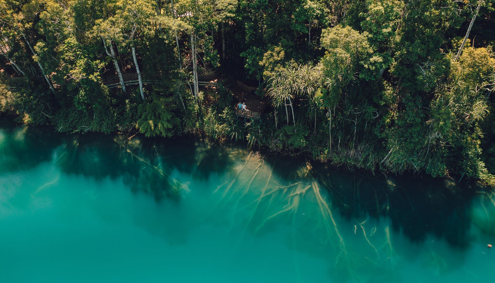 aerial image of lake eacham