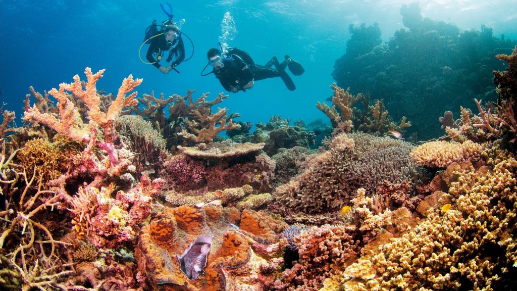 Agincourt Reef - Tropical North QLD