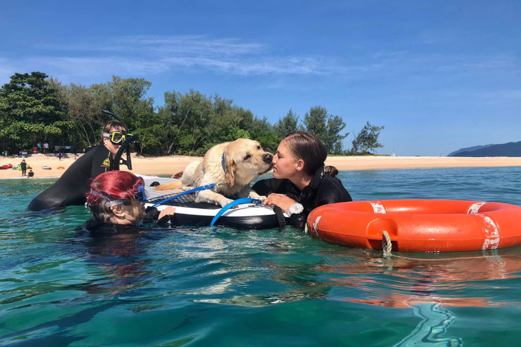 assistance dog great barrier reef